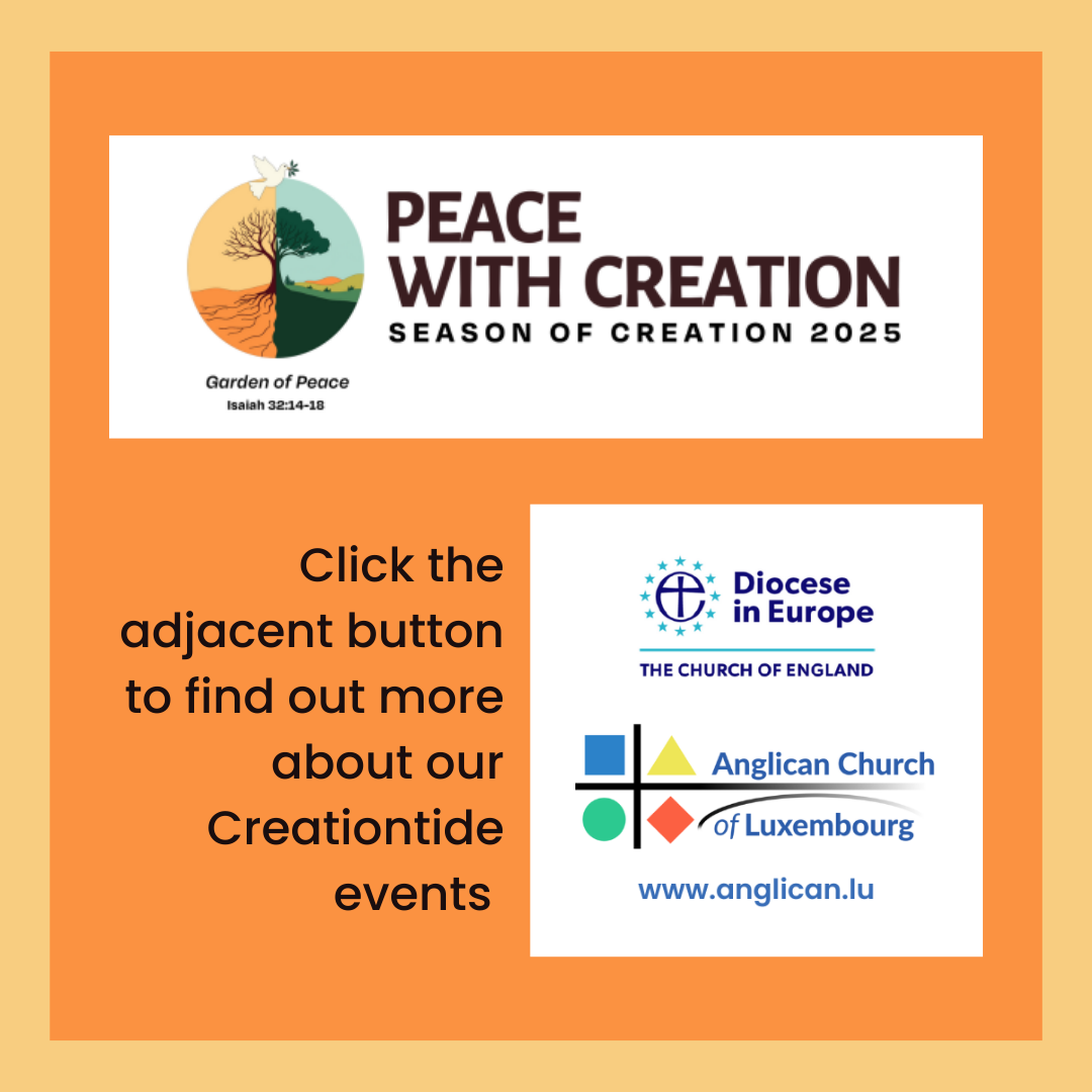 2025 Creation Announcement with link to more iinfo_yellow & orange with link to info sheet_insta (1)
