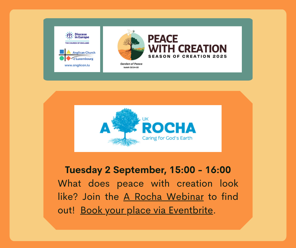 250902 Creation A Rocha